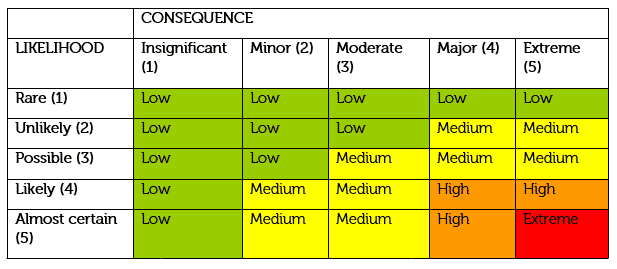 risk management plan