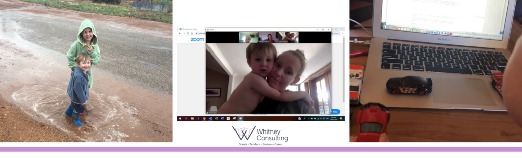Whitney Consulting | Project Funding & Development Consultants
