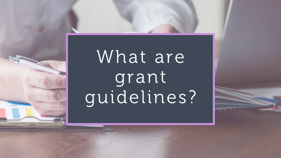 What are Grant Guidelines?