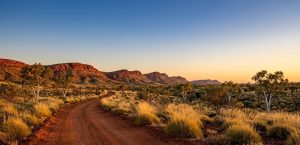 Grant-Funding-for-Indigenous-Led-Projects